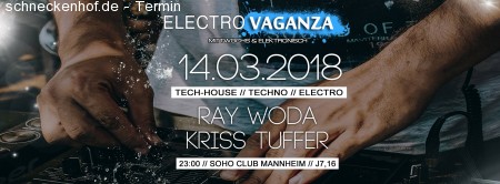 Electrovaganza • Ray Woda in the Mix Werbeplakat