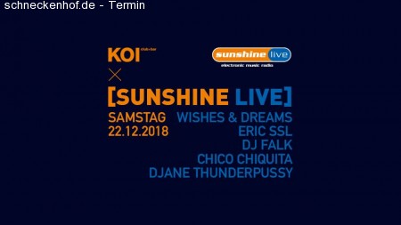 KOI meets sunshine live Werbeplakat