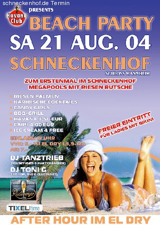 Beach Party Werbeplakat
