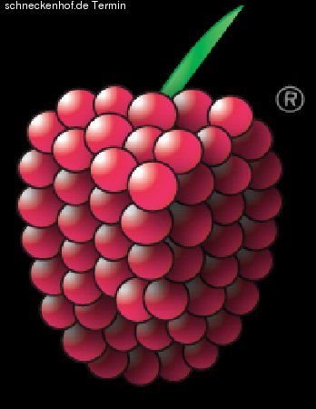 HimbeerParty Werbeplakat