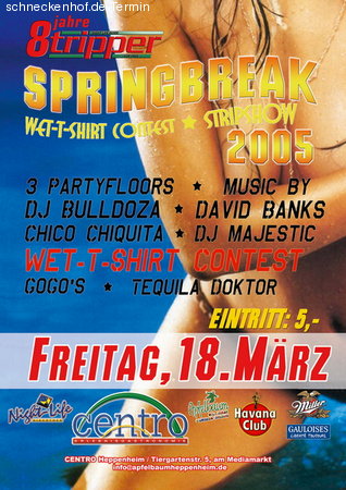 Spring Break Party & Geb.!   Werbeplakat