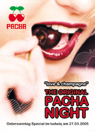 Pacha Night @ludwiq Werbeplakat