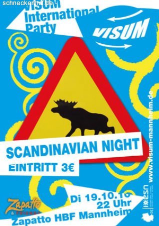 VISUM Scandinavian Night Werbeplakat