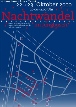 Nachtwandel 2010 Werbeplakat