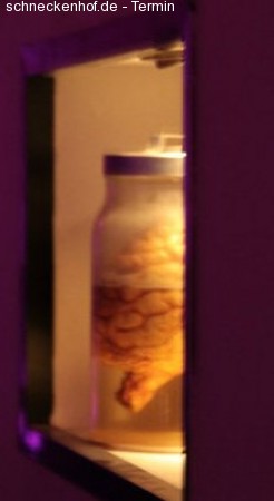 Funky Funky Funky Werbeplakat