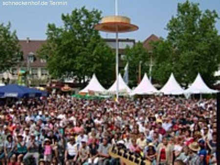 Strohhutfest Frankenthal Werbeplakat
