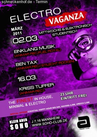 Electrovaganza Werbeplakat