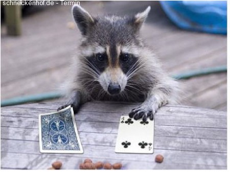 DJ ROCkY RACOON Würzburg Werbeplakat