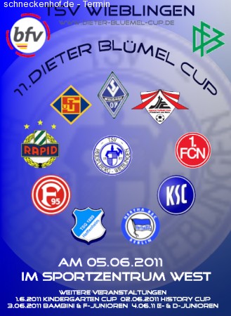 Dieter Blümel Cup Werbeplakat