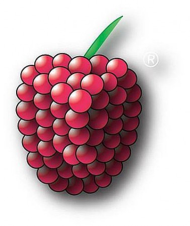 Himbeerparty-Osterspecial Werbeplakat