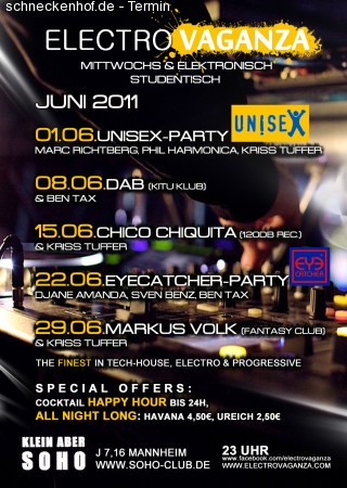 Electrovaganza Sommerspecial Werbeplakat