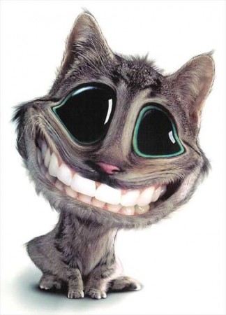 Flashmob Mannheim Werbeplakat