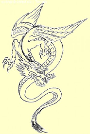 Drachenbootcup 2011 Werbeplakat