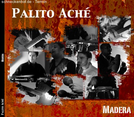 monday live - palito achè Werbeplakat