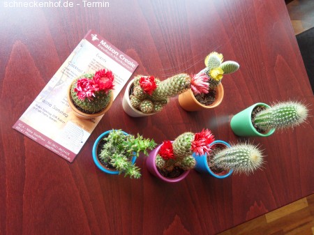 Colada Special Night !! Werbeplakat