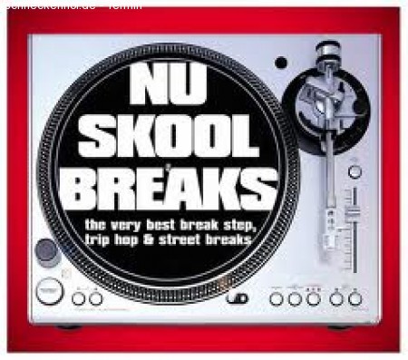 Any given Friday - Skool Brkz Werbeplakat