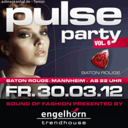 pulse party vol. 6 Werbeplakat