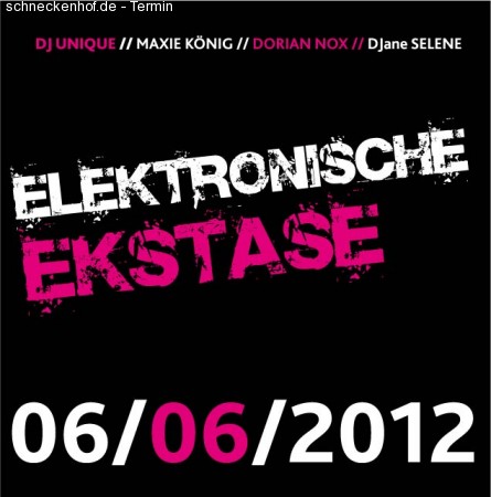 Elektronische Ekstase Werbeplakat