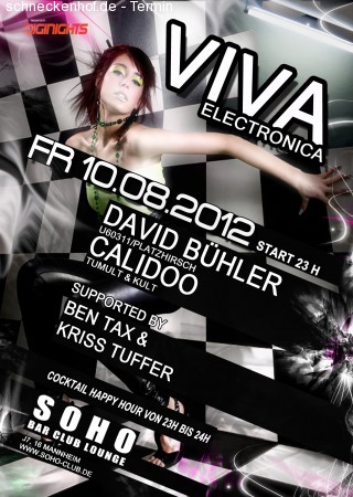 Viva Electronica Werbeplakat