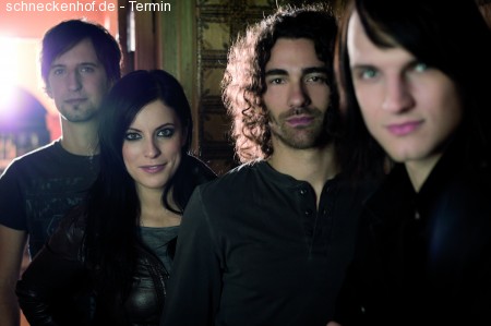 Silbermond Werbeplakat