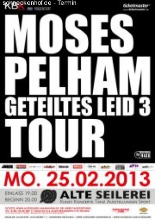 Moses Pelham Werbeplakat