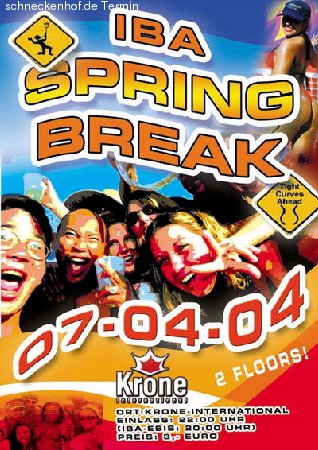 IBA Spring Break Werbeplakat
