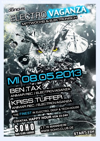 Electrovaganza Special Edition Werbeplakat