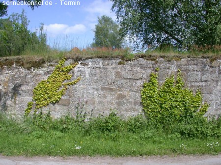 Schätze hinter Klostermauern Werbeplakat