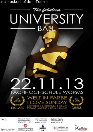 FH Ball 2013 Werbeplakat