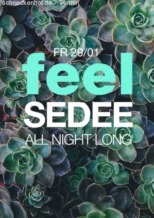Feel: SEDEE Werbeplakat