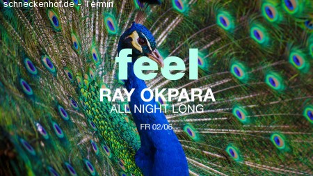 Feel: Ray Okpara Werbeplakat